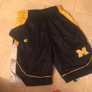 Michigan Shorts